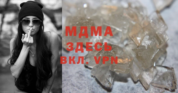 индика Алексин