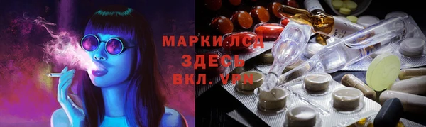индика Алексин