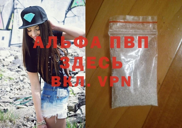индика Алексин