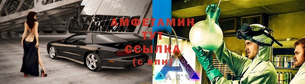 индика Алексин