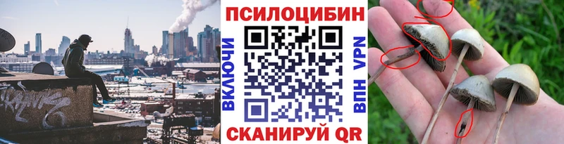 наркошоп  darknet официальный сайт  Псилоцибиновые грибы мицелий  Сольвычегодск 